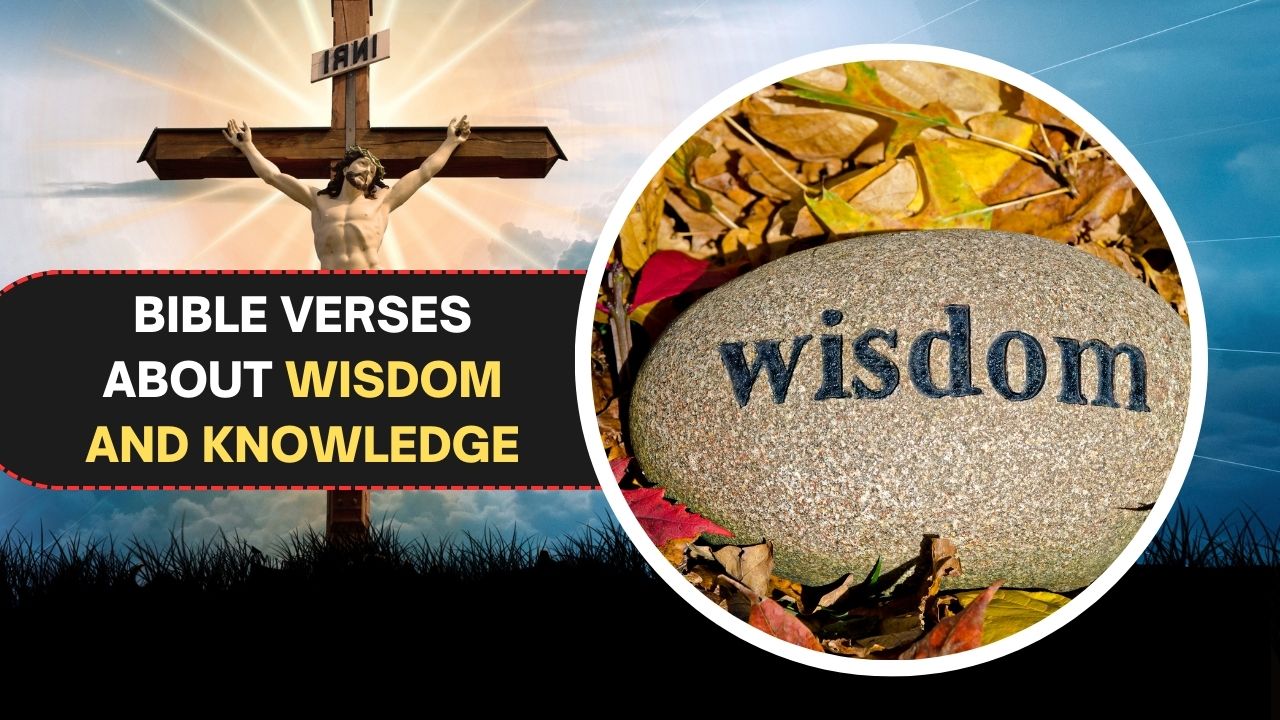 155 Bible Verses about Wisdom and Knowledge for Spiritual Growth