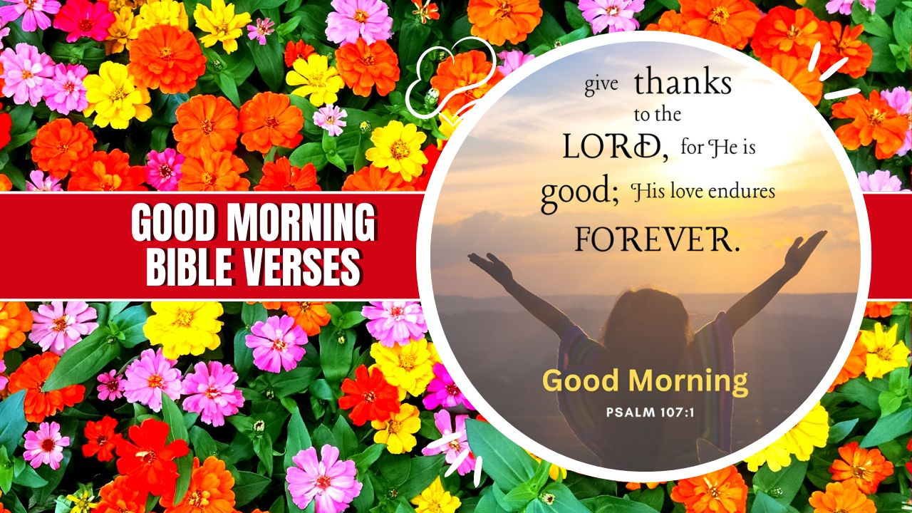 52+ Good Morning Bible Verses, Quotes and Images